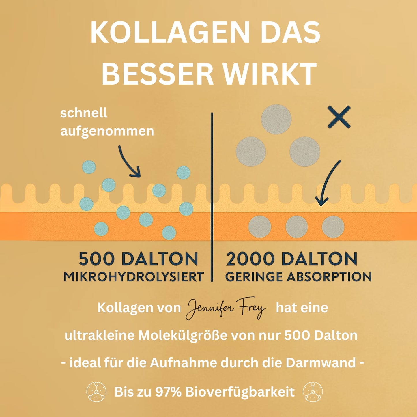 TRIPEPTIDE 500 Dalton Kollagen Hydrolisat Pulver - Original Tripeptide Kollagen CollMeCell - 250g