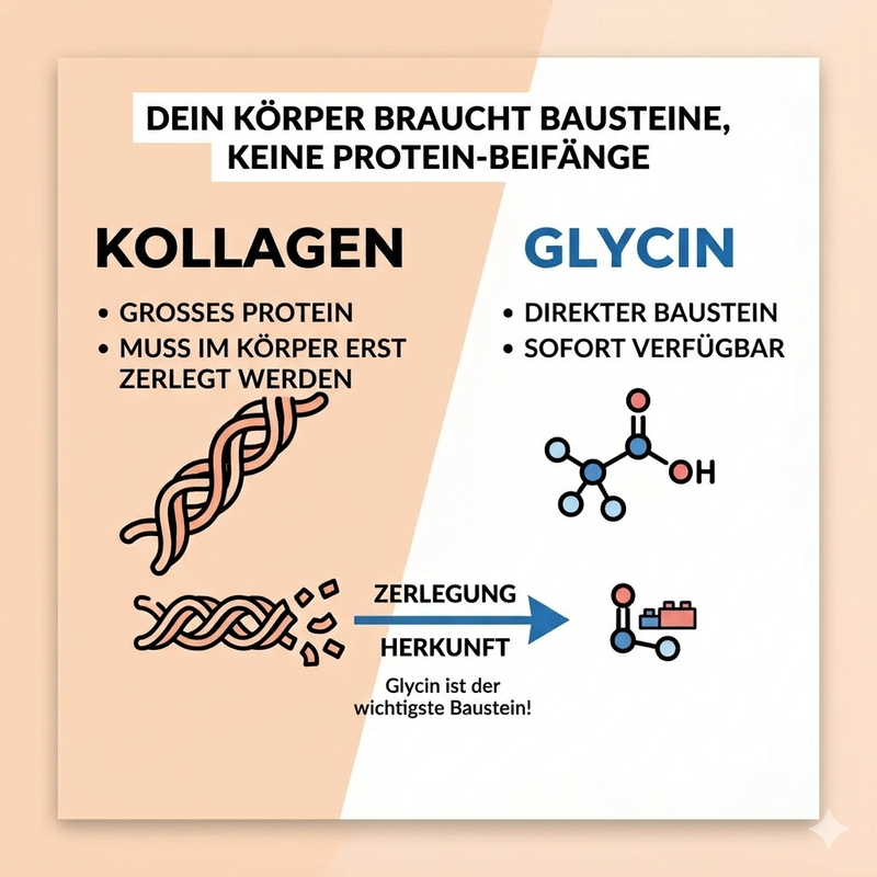 Glycine Powder: The Most Important Collagen Building Block – Benefits, Dosage & Use