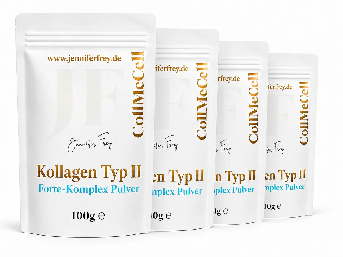Kollagen Typ 2 FORTE MATRIX Gelenk-Knorpel-Komplex - Typ II + MSM + Hyaluron